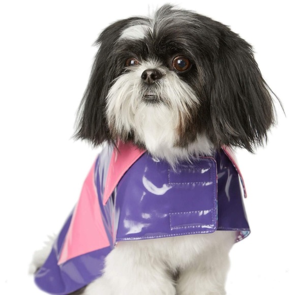 Meet your Posher, Joni, from Misquamicut Ocean - Picture 2 of 9